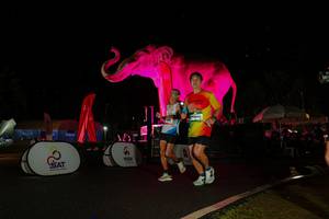 BIB: 
                            <button type="button" onclick="openModal(26543420)" class="btn btn-primary btn-sm float-right btn-popup" data-toggle="modal" data-target=".modal-high-quality">
                        <i class="fas fa-shopping-cart"></i> Add to Cart
                    </button>
                                            <button type="button" onclick="isThisMe(26543420, true)" class="btn btn-success btn-sm float-right btn-popup btn-isme hidden" data-toggle="tooltip" data-placement="bottom" title="นี่คือรูปของคุณใช่ไหม คลิกที่นี่เพื่อเอาเข้าอัลบั้ม">
                        <i class="fas fa-plus"></i> Add to album
                    </button>
                    <button type="button" onclick="isThisMe(26543420, false)" class="btn btn-warning btn-sm float-right btn-popup btn-isnotme hidden">
                        <i class="fas fa-ban"></i> Remove from album
                    </button>